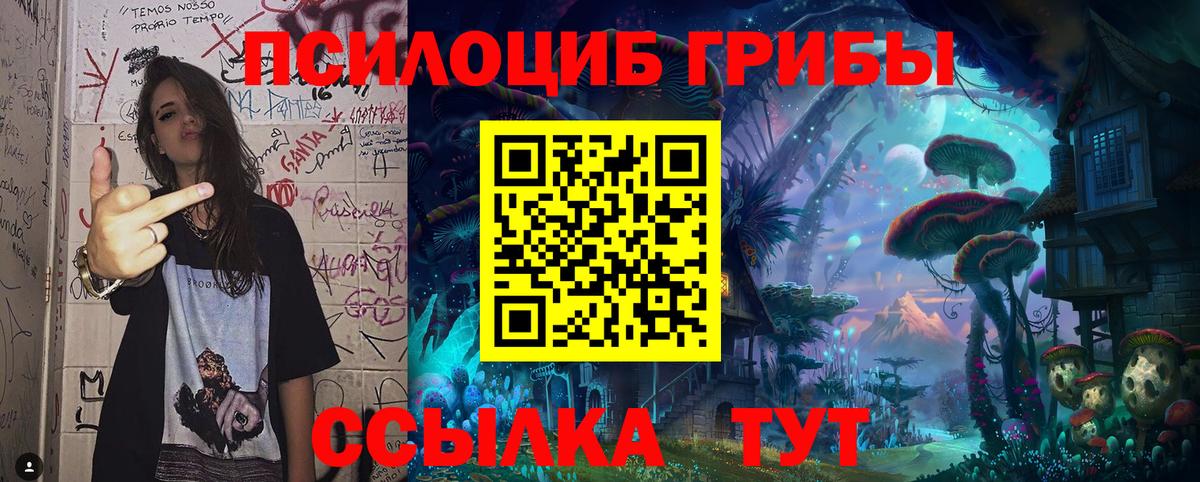 Галлюциногенные грибы ЛСД  Вход с VPN  Печора  Галлюциногенные грибы мицелий 